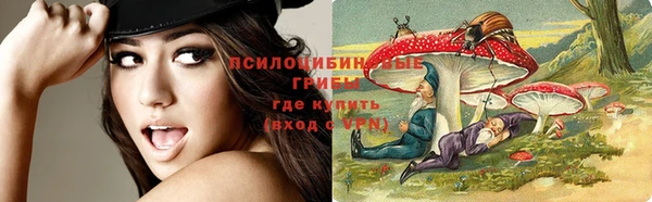 твердый Алексин